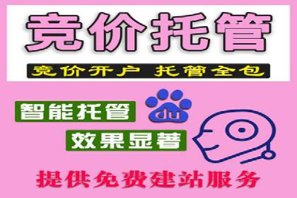 案例剖析：SEM网络推广助力品牌快速崛起
